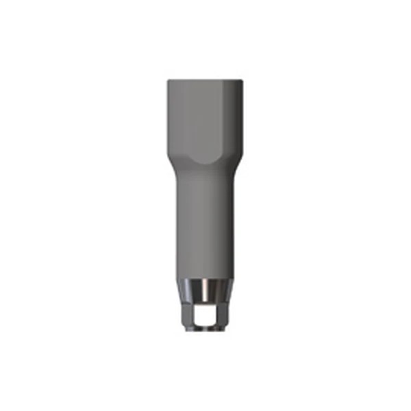 Digital Scanbody Lilivis